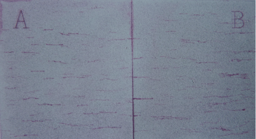 milan官网登录入口司|试块