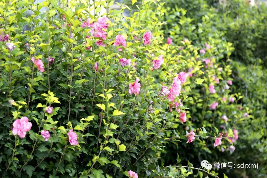 Ruixiang brand test block | mould Ruixiang brand test block | mould